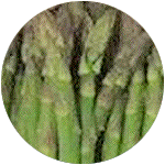 アスパラガス/asparagus