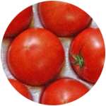トマト/tomato